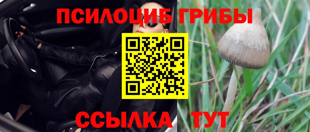 Псилоцибиновые грибы Magic Shrooms Грязи